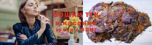 прущие грибы Осташков