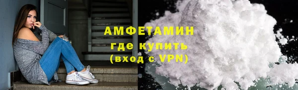 прущие грибы Осташков