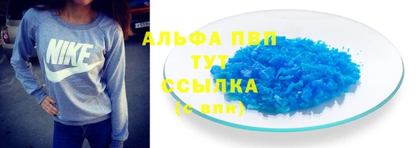 прущие грибы Осташков