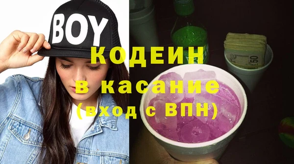 прущие грибы Осташков