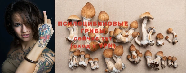 амфетамин Пестово