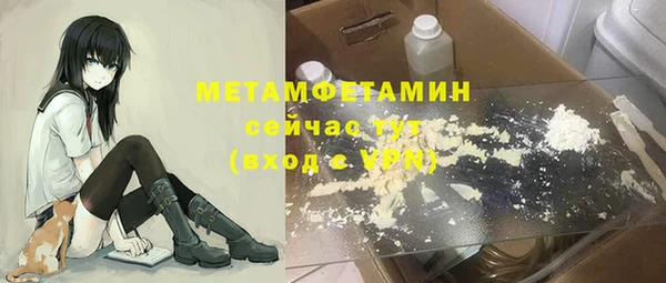 прущие грибы Осташков