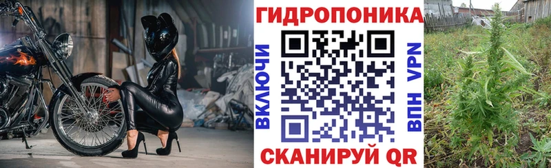 hydra ссылка Боровск Канабис семена дарнет шоп